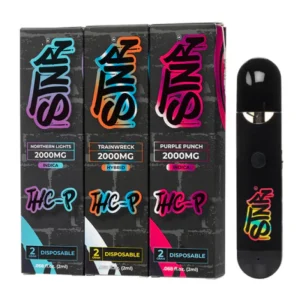 STNR Delta-8 THC Disposable Vape Pen-2g