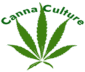 Canna Culture